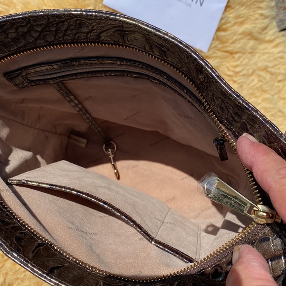 Brahmin mini Asher - Picture 2 of 9